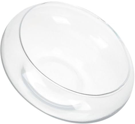 Toddmomy Glass Succulents Pot Small Planter Bowl for Indoor Herb Plants and Air Plants Clear Round Glass Fish Bowl for Windowsill or Desktop Decoration Multi-Purpose Hydroponic Container