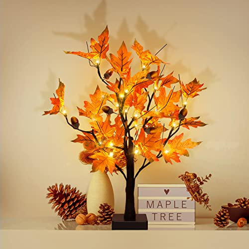Érable Lumineux d'automne de 61 cm avec Glands, 24 lumières LED, Fonctionne à Piles, décoration de Table de Thanksgiving, Arbre Artificiel pour la Maison, Le Bureau, la cheminée, la récolte d'automne