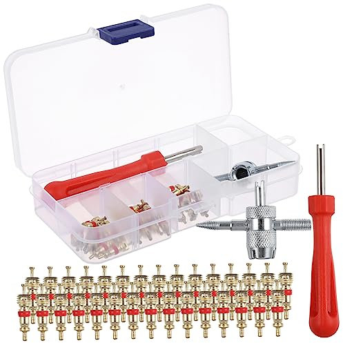 COSMEVIVI Auto-entfernungswerkzeug 32-teilig Kernentfernungsschlüssel-Set Zum Wechseln