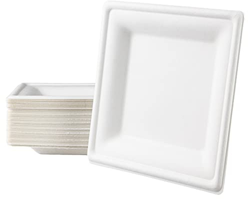 Love Nature Einwegteller 50 Stück - Einweg Teller Partyteller Eckig 26 cm aus Zuckerrohr - Einweggeschirr Umweltfreundliche Stabil zum Geburtstag, Grillabende und Picknicks