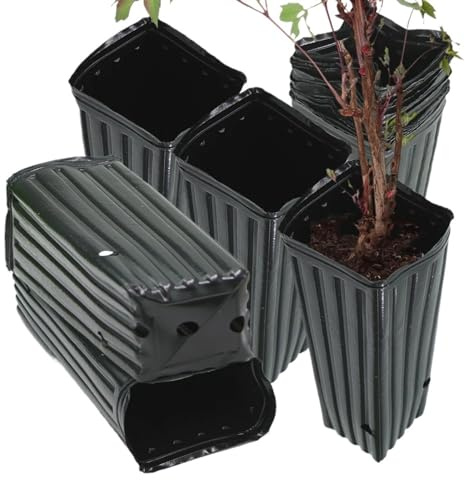 Maceteros Altos Maceta alta for árbol, maceta for plántulas, contenedor de plantas, macetas de plástico profundas for vivero con orificio de drenaje for macetero de jardín interior para Guardería(10x2