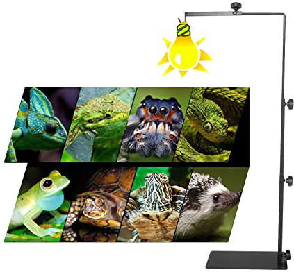 ATB-GIFT Reptilien-lampenständer, Verstellbare Höhe lampenständer, Reptilienlampenhalter für Reptilien, Schildkröten, Spinne(Größe:gro)