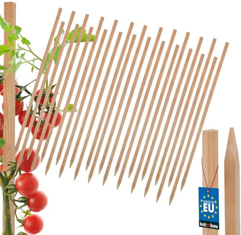 KOTARBAU® Set med 25 tomatstavar, växtstavar, 60 cm, staketstolpe, trästolpar, spetsigt, växtstöd, staketstolpar, växtstöd, träväxtstavar för stabilisering, växtstöd
