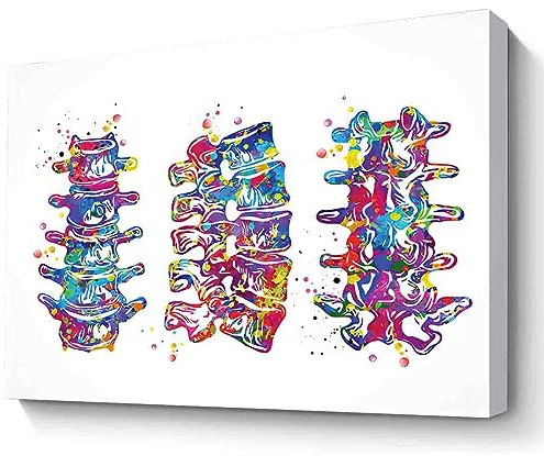 Framed Watercolor Wall Art,Lumbar Spine Watercolor Print Human Art Vertebral Column Medical Art Vertebral Bones Chiropractic Skeletal System Orthopedic~-12X18 Canvas Print With Frame
