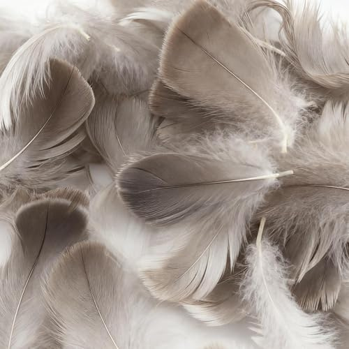 Mbsomnus 600 stycken fjädrar för pyssel, naturfärg, fjädrar, naturlig fjäder, dekoration, pysselfjädrar för gör-det-själv, hantverk, drömfångare, örhängen, huvudbonad, fjäderblommor, bröllop, jul