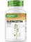 Quercétine - 500 mg - 120 gélules - 4 mois d'approvisionnement - Testé en laboratoire - Naturellement fait à partir d'extrait de fleur de cordage japonais - Dose élevée - Végétalien