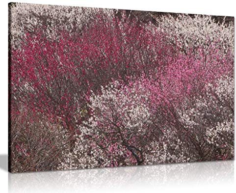 Plommonträd kanvas väggkonst bild tryck 91x61cm (36x24in)
