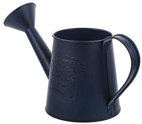 GANAZONO 2 Stück Balkon-Terrassen-Dose Primitiver Zierhalter Kannenpflanzen Bauernhaus Sukkulenten Antiker Kaktus Für Topf Metall Landhaus-Dekor Schickes Glas Bewässerung