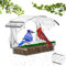 Vogelfutterhaus Fenster Saugnäpfe,Vogelfutterspender Fenster,Vogelhaus Fensterbrett mit Abnehmbar Futterspender,Transparente Fenster Vogelfutter,Durchsichtiges Vogelhaus Fenster,Futterhaus Fenster