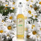 Poli, Elisir Liquore di Camomilla - 700 ml