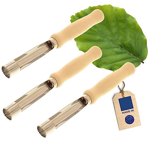 3x HOFMEISTER® Apfelstecher, 16 cm, ideal für Äpfel, Birnen & Kernobstgewächse, Metallteil aus rostfreiem Edelstahl, praktischer Apfel-Entkerner mit Griff aus Buchen-Holz, Made in Germany