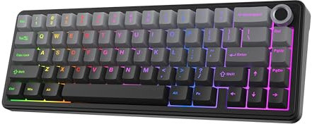 EPOMAKER X Aula F65 PRO Wireless Mechanical Gaming Keyboard, Hot-Swappable, Knob and Shine-Through PBT Keycap, RGB, Bluetooth/2.4GHz Wireless, QWERTY US, 65% Layout (Grau, Reaper Switch)