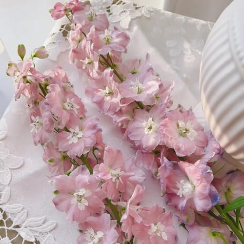 delphinium - Delphinium - semi di tappezzanti, all'inverno da giardino da Decorazioni per giardini esterni, 550semi