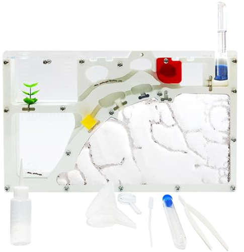 EXBEPE Sand Ant Farm Castle Ant Colony Ecosystem Science Educational Gift Live Ant Habitat to Study Insect Behavior