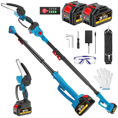 RayShine 2-in-1 Electric Cordless Pole Saws for Tree Trimming, 6 Inch Mini Chainsaw Cordless with Extension Pole, Battery Powered Pole Chain Saw, Tree Trimmer Limb Branch Cutter Pruner with 2 Battery