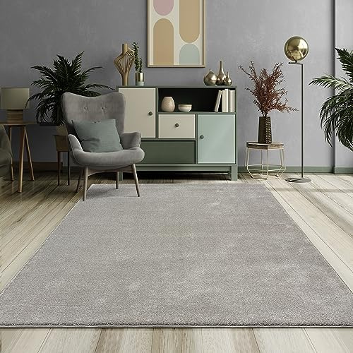 Mia´s Teppiche Emely Tapis de Salon Moderne à Poils Courts (17 mm)