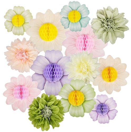 OdiuK Papierblumen Deko Wabenbälle, 13 Stück Pompons Deko Hängend 3D Papier Blumen Geburtstagsdeko, Pom Poms Deko Pastell für Mädchen Babyzimmer Wand Geburtstag Hochzeit Geburtstagsdeko Karneval