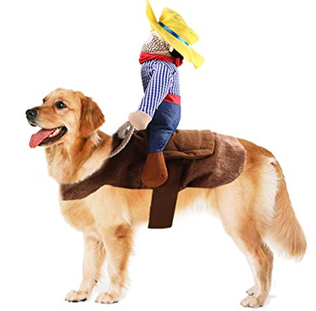 PEPAXON Costume di Halloween per animali domestici, divertente, costume da cowboy per cani di taglia piccola, media e grande (XL)