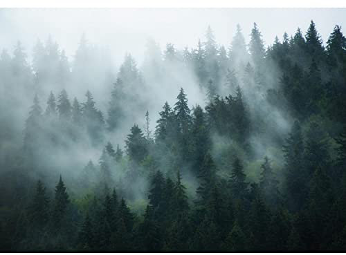 Runa Art Fototapete Wald Nebel Modern Vlies Wohnzimmer Schlafzimmer - Made in Germany - 308 x 220 cm Grün 9552010a