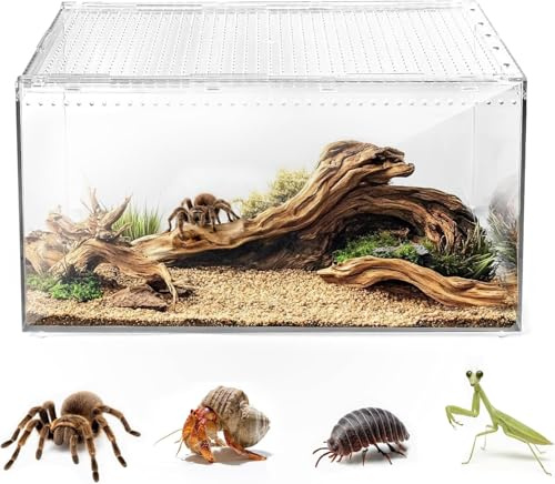 Reptiler, terrariumlåda, magnetisk akryl, hemlighetslåda, terrarium, stapelbar reptil, matningslåda för spindlar, skorpion, skalbagg, hornad groda (30 x 20 x 15 cm)