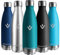 Vikaster Botella agua, 500ml Botella agua acero inoxidable, Mantener 12H Caliente/24 Frío, Termo Sin BPA, Botella termica Niños, Adultos, Deporte, Oficina, Exteriores