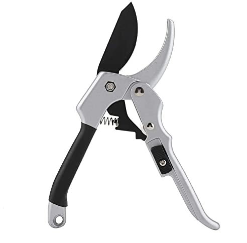 Tijeras de jardín para p, Tijeras de podar Tijeras para chapa de laboratorio, árbol de frutas, bonsai, manualidades, jardinería