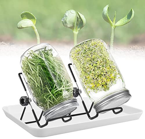 REFORUNG Lot de 2 Germoir pour Graines à Germer 950 ML Bocal à Germes Germoir en Verre Grands Verres Mason Jar avec Couvercles en Acier Inoxydable et Support pour la Germination des Graines