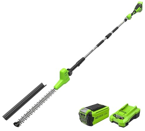 Greenworks 40V Tagliasiepi ad Asta con Albero Divisibile, Lame Doppia Azione da 51cm, Taglia Rami Spessi Fino a 28mm, Testa Rotante di 112.5°, 3200SPM, Batteria 2Ah e Caricabatterie PH40B01-01