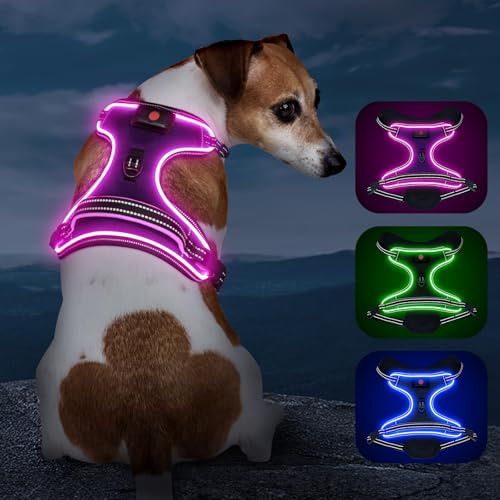 Kpuplol Leuchtendes Hundegeschirr für Klein/Mittelgroße Hunde - Violett, Gestreift, LED, Anti-Zug, Verstellbar, Vibrant Striped Violet, Ideal für Nachtspaziergänge