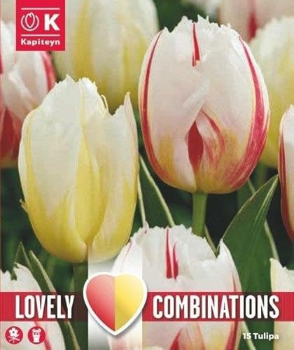 Lovely Cobinations Bulbi di Tulipano Happy Generation Confezione da 15pz Kapiteyn