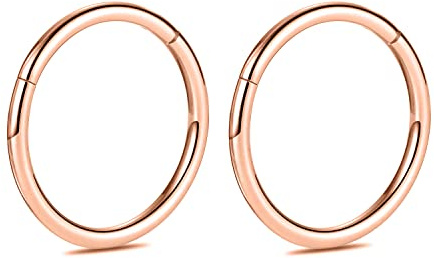 hengkaixuan 2Pcs Titanium Nose Hoop Rings Hinged Segment Clicker Rings Cartilage Helix Lip Tragus Conch Piercing Jewellery Sleeper Earrings Septum Lobe Hoop Earrings