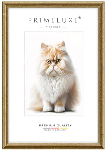 PrimeLuxe Massif Bois Cadres photo sur mesure Baroque Antique 40 x 60 cm en Vieux-Or | Taille sélectionnable | Verre acrylique incassable | Cadre pour affiches | Puzzle | Collage | EC089