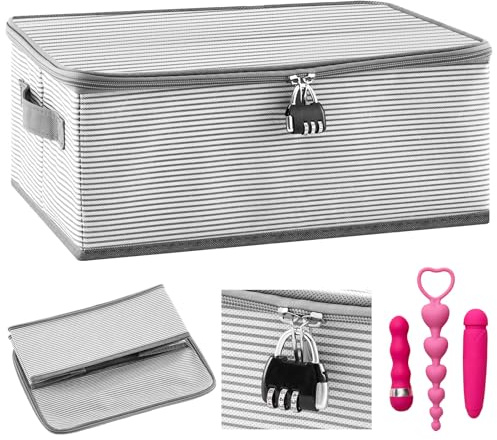 Briwooody Discreet Lockable Toy Bag Storage Organizer Toy Bag Storage Bins Case with Zipper Lid 15 x 10 x 5.9 Inches for Women and Men Clothes Container(Gray Stripes)