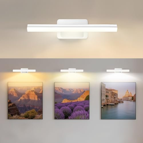 AMFUN Picture Lights for Wall, Wireless Picture Lights with Remote, 3 Color Temperatures Cordless Dart Board Light, Dimmable/Timer, for Painting, Bedroom, Living Room (White)