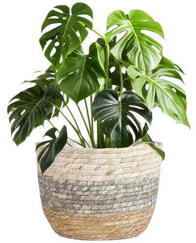 Muzrunq Cesta para macetero de Mimbre, Cesta Tejida para Plantas de 8, 7 Pulgadas con Forro Interior Impermeable, macetero Decorativo para Plantas, decoración Interior del hogar, Mimbre.
