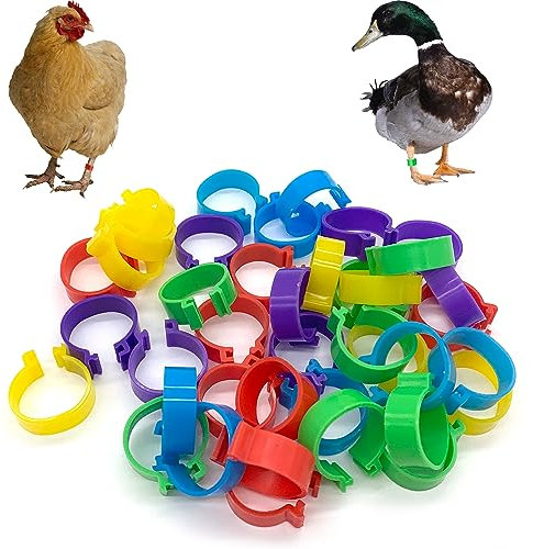 DHER Eine Packung mit 40 Geflügel-Fußkettchen in 5 Farben, 20 mm Fußkettchen, Geflügel Fußringe Fußringe für Geflügel Poultry Beinringe eignet sich zum Markieren von Hühnern, Enten usw