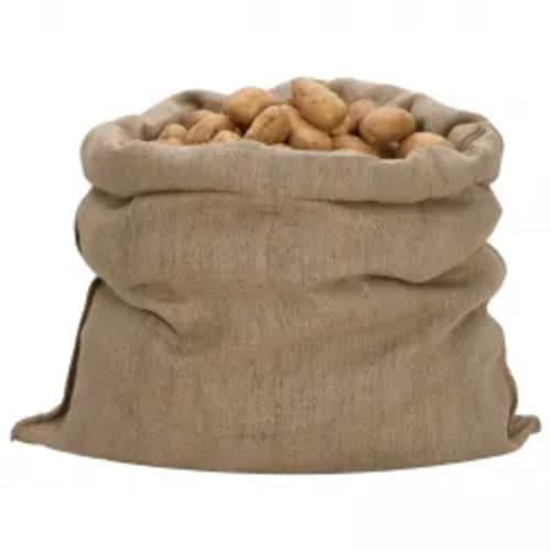 vidaXL Sacos de Yute 30 uds, Bolsas de Arpillera, Protección de Plantas Invierno, Sacos para Tubérculos Nueces, 100x110 cm 100% Yute 340 g/m²