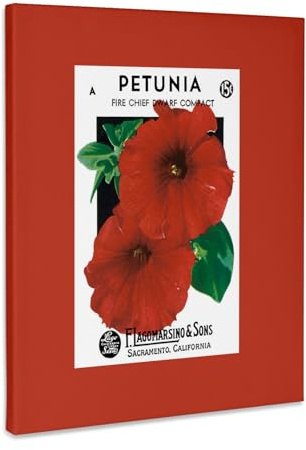 3dRose Petunia Fire Chief Dwarf Compact Deep Red Flower Seed Packet Museum Grade Canvas Wrap 16x20