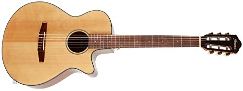 Ibanez AEG50N NT Nylon String - 4/4 Konzertgitarre