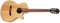 Ibanez AEG50N NT Nylon String - 4/4 Konzertgitarre