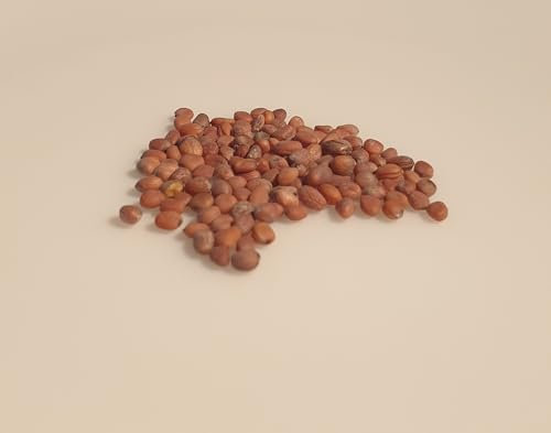 100 graines à semer - Le Grenier d'Abondance - Radis Rond Ecarlate - Radix