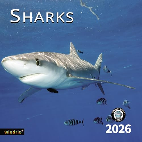 2026 Wall Calendar,Calendar 2026, November 2025 - December 2026, Wall Calendar Shark, 12 x 24 Opened,Full Page Months Thick & Sturdy Paper for Gift Perfect Calendar Organizing & Planning