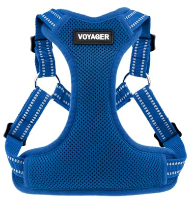 Voyager Verstellbares Hundegeschirr mit Reflektorstreifen by Best Pet Supplies - Strapazierfähige Ganzkörperweste ohne Zugkraft mit Leinen-D-Ring, atmungsaktiv, Königsblau, size M