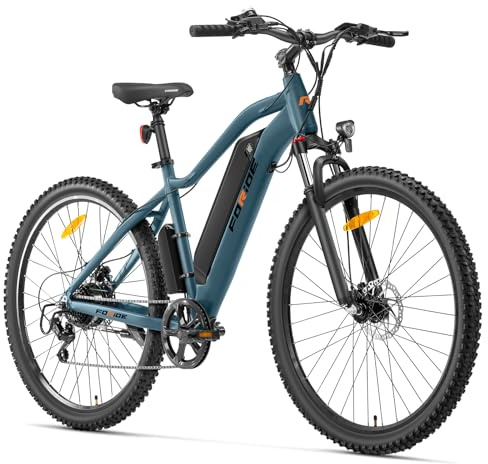 Foride Bicicletta elettrica Xtremer 3,Mountain bike elettrica per uomo e donna, batteria da 48 V, 12 Ah, pneumatici da 29 x 2,4, autonomia 120 km, freni a disco idraulici