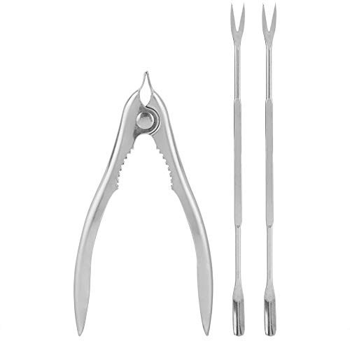 Wifehelper Edelstahl Krabbenzange Set, 15 x 7,5 cm, mit 2 Meeresfrüchte Gabeln, Nussknacker für Krabben, Langusten, Garnelen