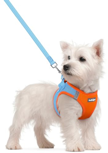 rabbitgoo Arnes Perro Pequeño con Correa Reflectante, Azul Ligero y Naranja S, Chaleco Perro Ajustable Fácil de Poner, Arnes Antitirones de Malla Suave Transpirable, Arnés para Perros Pequeños