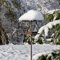 CLGarden Vogelfutterhaus VFH1 Gusseisen Garten Vogelhaus Vogelfutterstation für Wildvögel Futterhaus wetterfest mit Erdspieß Ständer Stecker auf Stab Metall