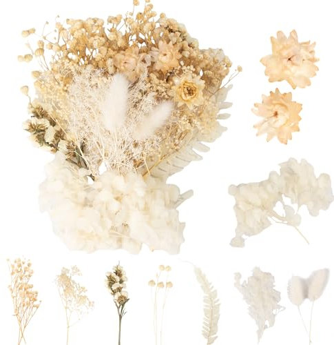 LAUMOE Getrocknete Blumen, Trockenblumen Zum Basteln Mini Trockenblumen Set für DIY Epoxidharz Scrapbook Zubehör Handgemachte Heimdekoration Hochzeit (Weiß1)