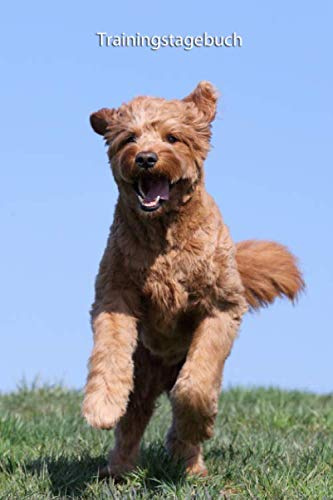 Trainingstagebuch: für Deinen Goldendoodle - mit Vorlagen schnell und einfach das Training dokumentieren
