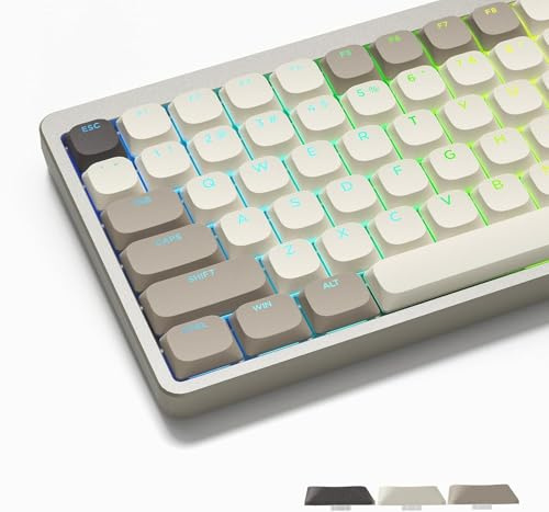 LQXQ Low Profile Keycaps 143, PBT Touches Clavier 75 pourcent Shine Through, Touches pour ANSI US 60% 65% 75% 80% 100% Cherry Gateron MX Commutateur Clavier mécanique, Kaki/Gris/